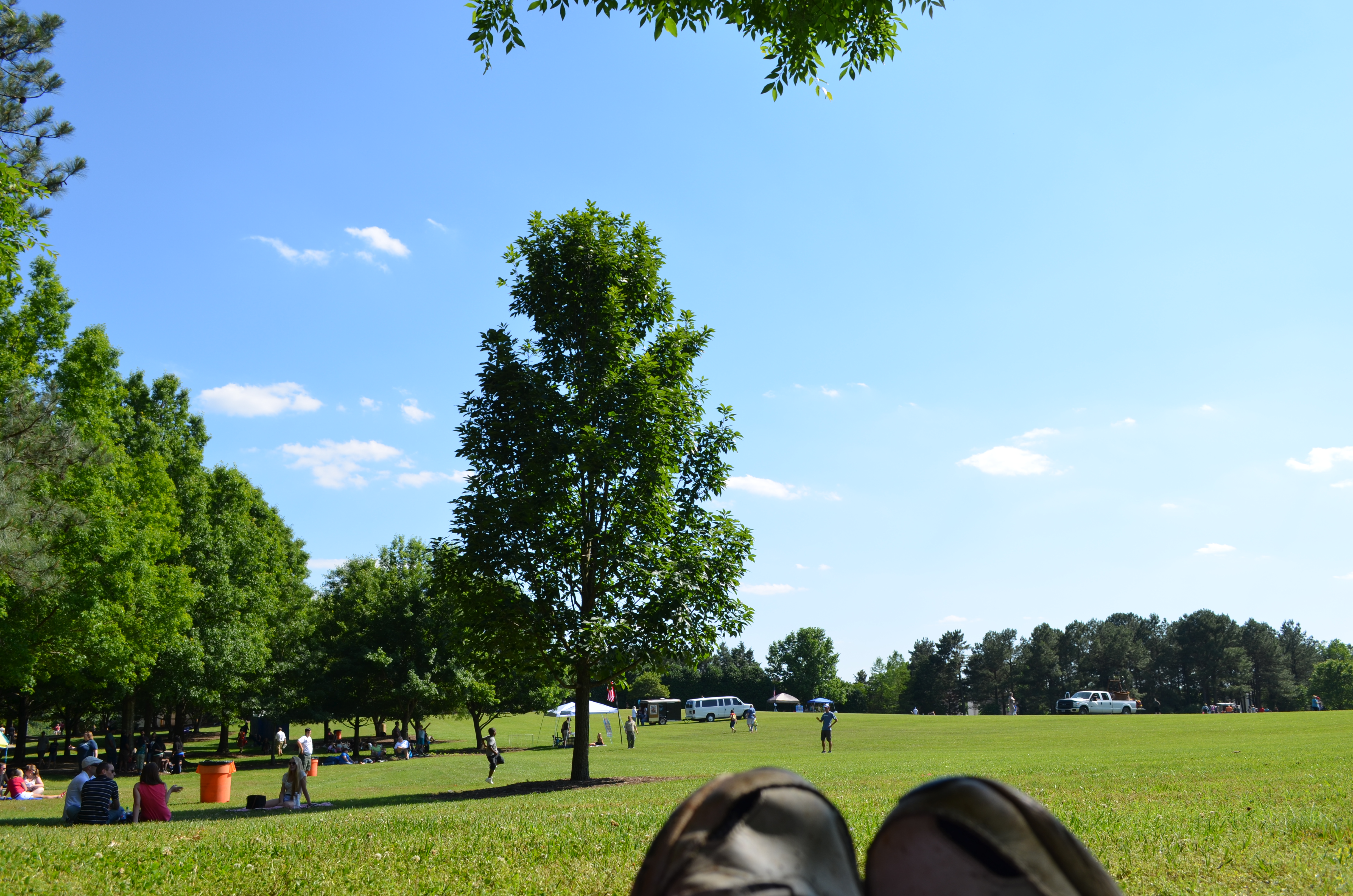 ./2015/11 - Freedom Ballon Festival/DSC_0405.JPG